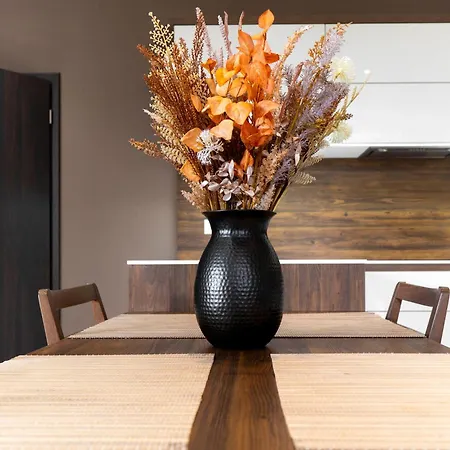 Apartment Karolina Ostrava